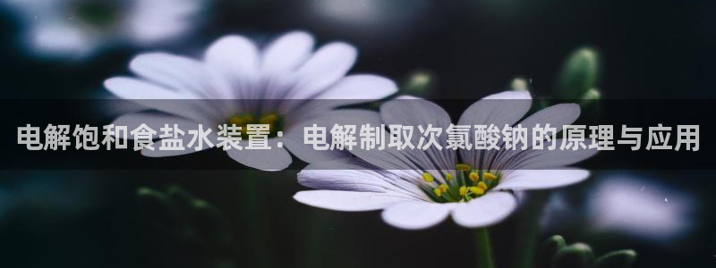 威九国际摩托电影HD