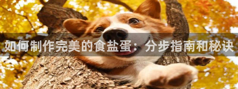 66m威九国际精选