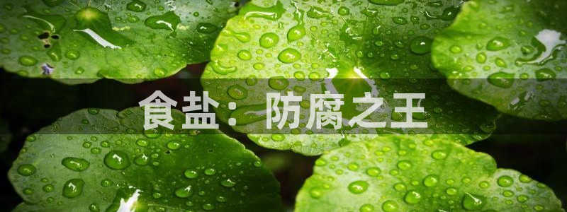 威九国际提款不出来