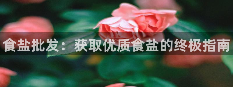 威九国际网站传媒
