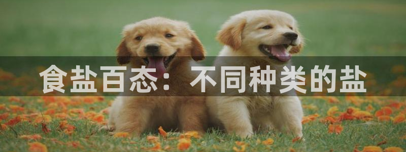 威九国际父亲的友人