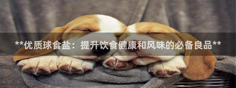 威九国际网站经常打不开