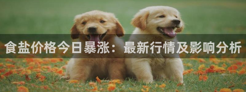 威九国际留学