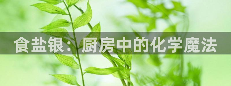 威九国际免费进入