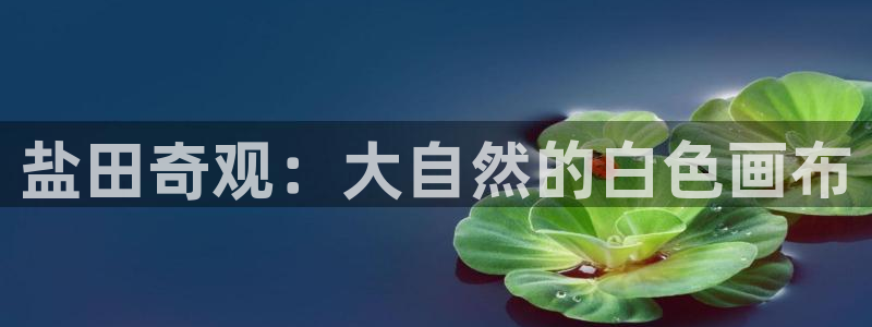 威九国际78app