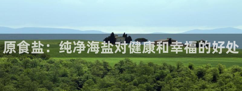 威九国际ppt免费下载网址