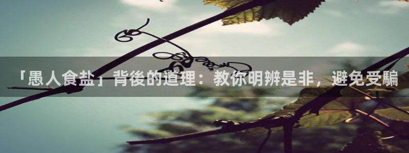 威九国际66m66m电影