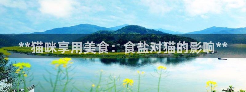 威九国际取款不会被骗吧