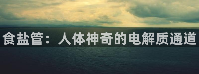威九国际网站游戏