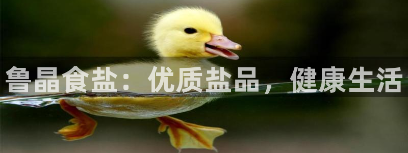 威九国际APP那个地方