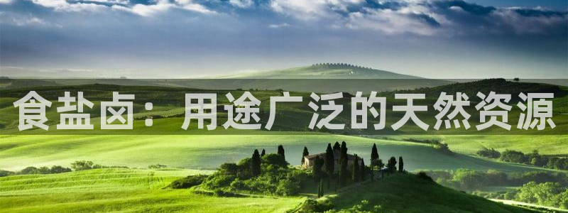 威九国际网站影视