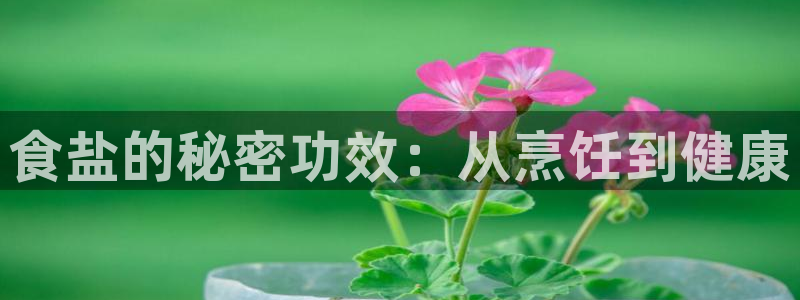 78mppt威九国际