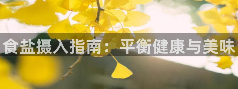 威九国际网站传媒招聘