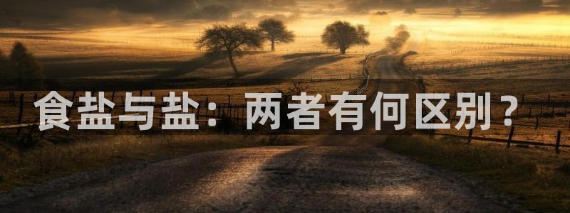 威九国际免费游戏
