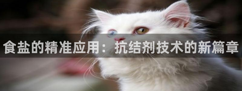 威九国际客服电话号码