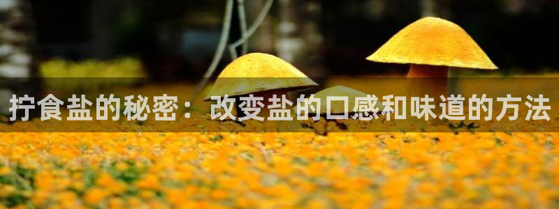 威九国际网站入囗