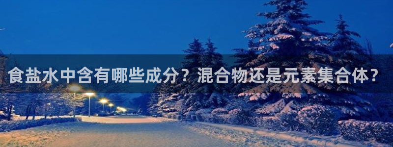 威九国际软件公司简介