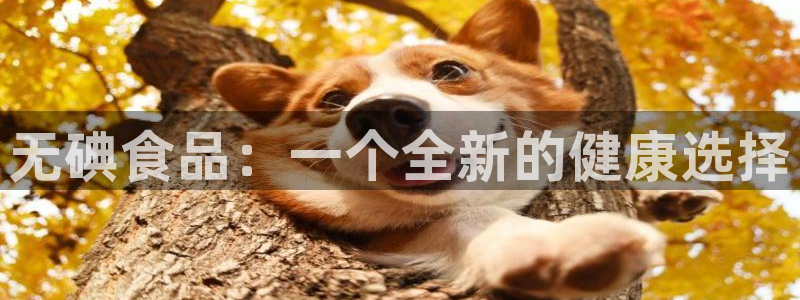 威九国际app入口在哪