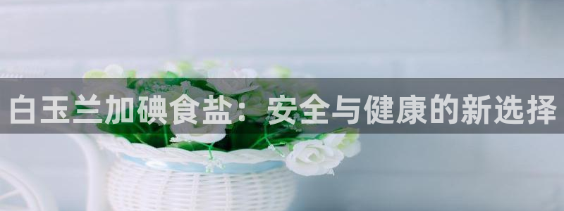 威九国际女艺人
