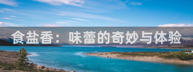 威九国际宣传片
