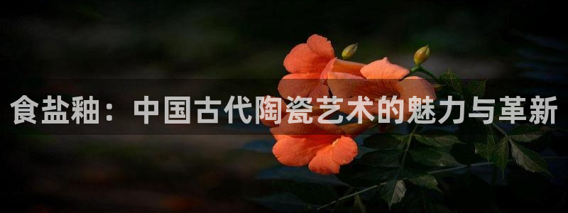 威九国际官方下载