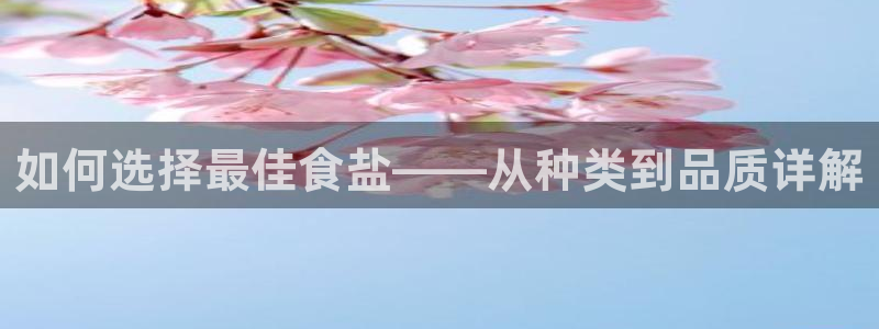 威九国际官网在线进入网站查询