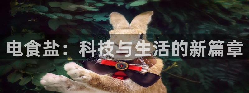威九国际空降