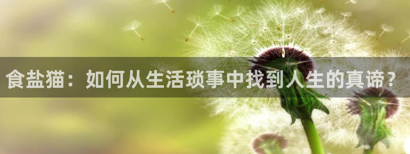 威九国际APP下载
