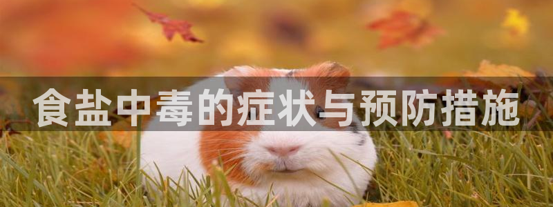 威九国际78m域名