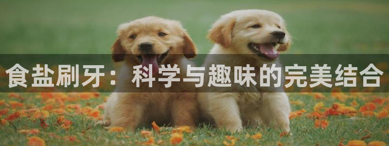 威九国际APP入口