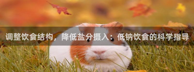 威九国际cm78