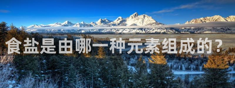 保定威九网络科技有限公司是干嘛的
