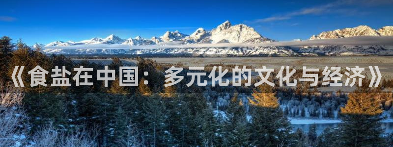 威九国际m78