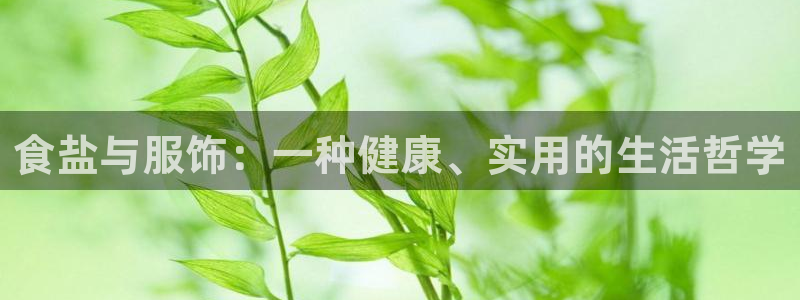 威九国际78mb游戏