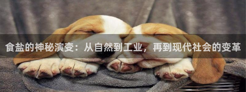 威九国际78m78免费：食盐的神秘演变：从自然到工业，再到现