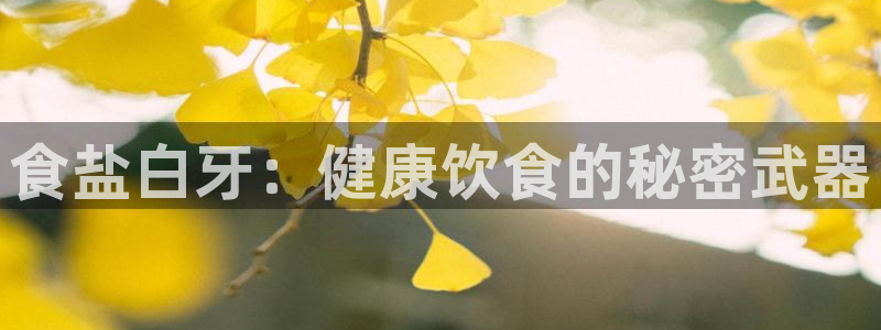 威九国际app客服电话多少