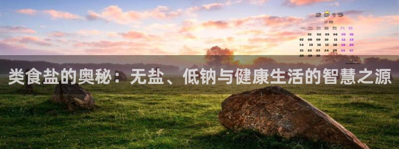 威九国际v9