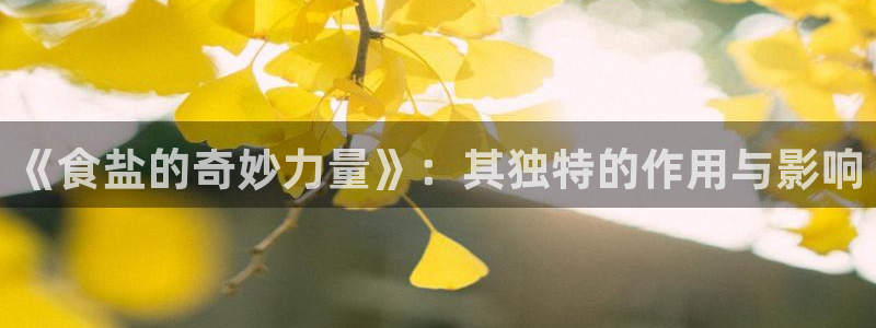 威九国际PPT