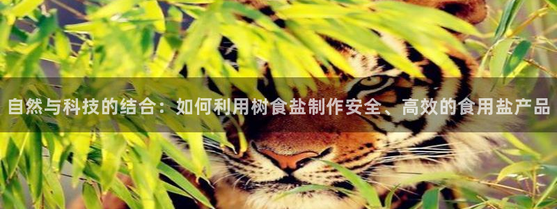 威九国际官方下载