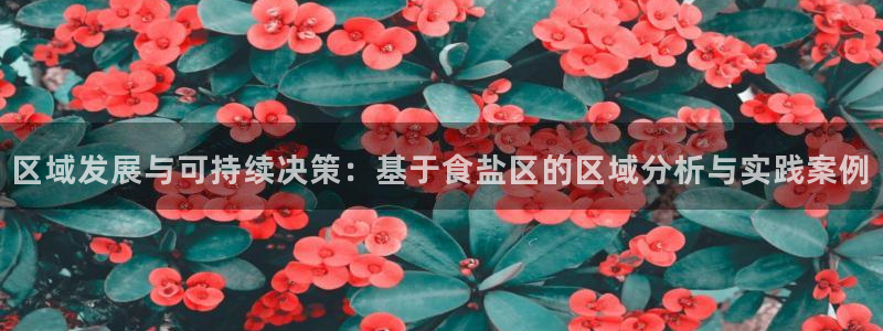 威九国际v96bet下载