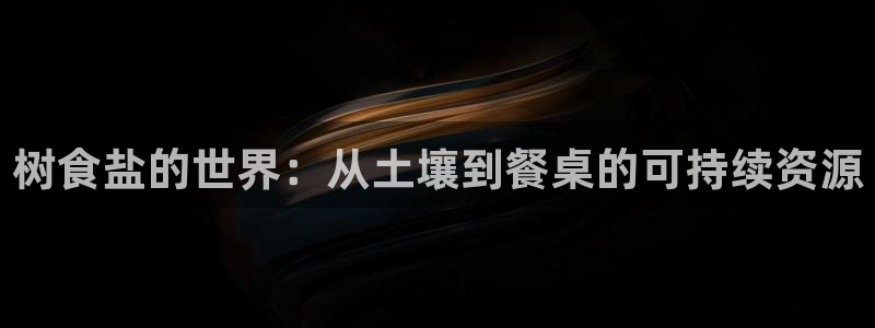 威九国际电子有限公司
