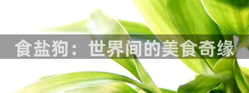 威九国际66mm66