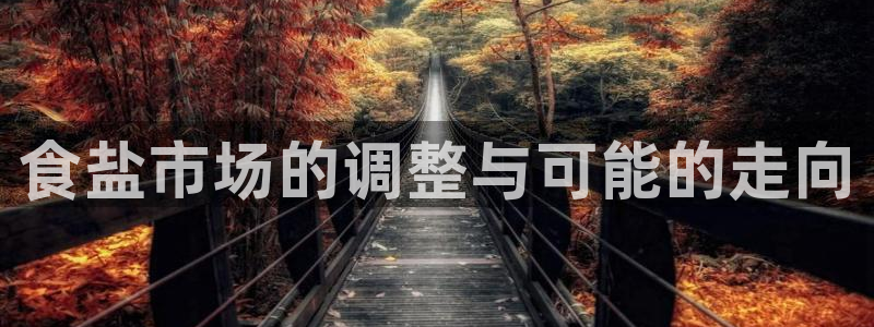 威九国际官方入口官网