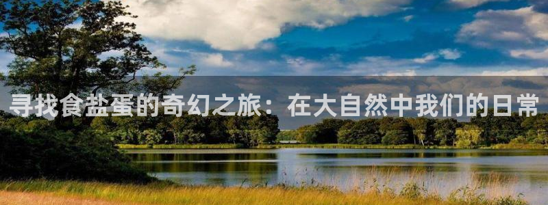 威九国际哪国的