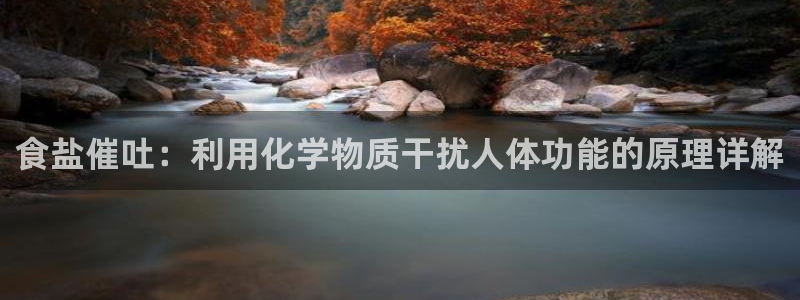 威九国际网站怎么样可靠吗