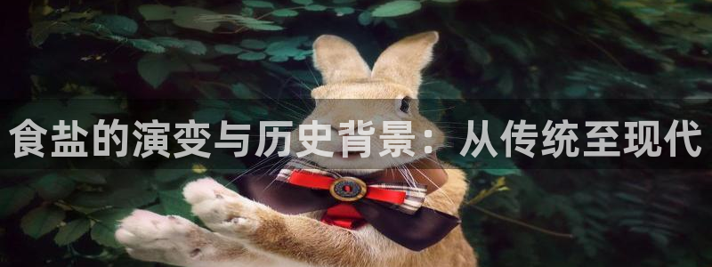 威九国际惠子