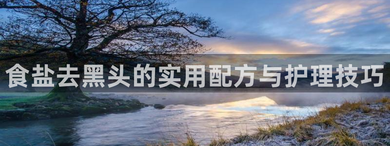 威九国际天美