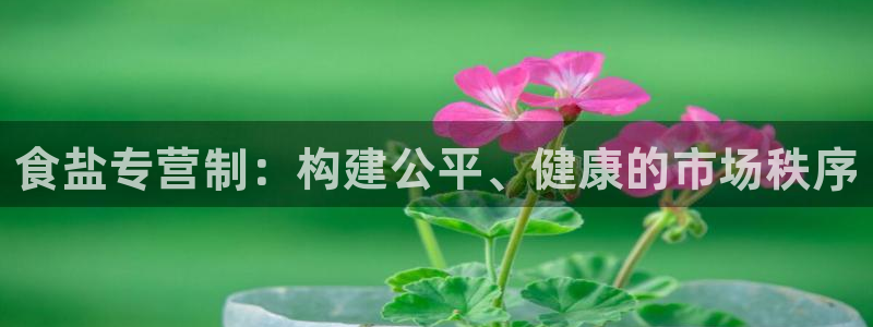 威九国际66