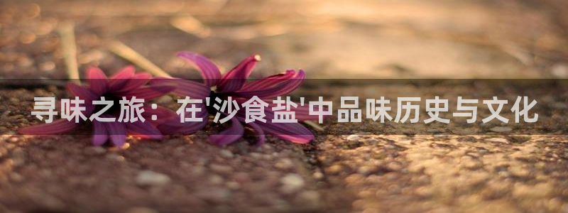 威九国际女演员名单介绍