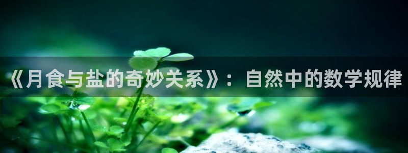 威九国际网站入口官网免费